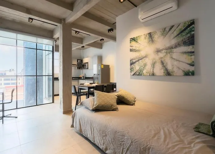 P101 Zocalo Cathedral 2bdrm 2bath Ac Rooftop *
