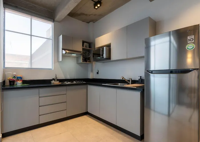 Apartment P101 Zocalo Cathedral 2bdrm 2bath Ac Rooftop